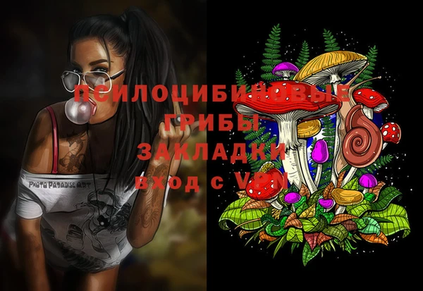 стаф Вязники