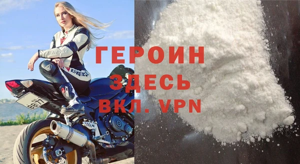 индика Осинники