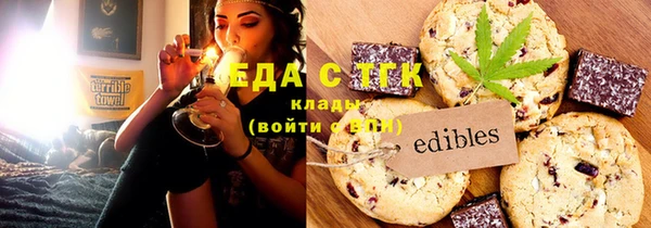 индика Осинники