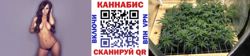 Конопля планчик  kraken рабочий сайт  Тырныауз 